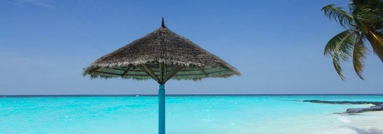 10 Best Hotel Resort Website Templates ThemeVault