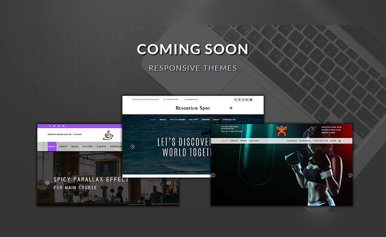 Responsive Themes Coming Soon Widget Template