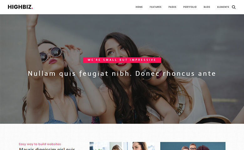 Highbiz – Responsive Multipurpose Website Template HTML5