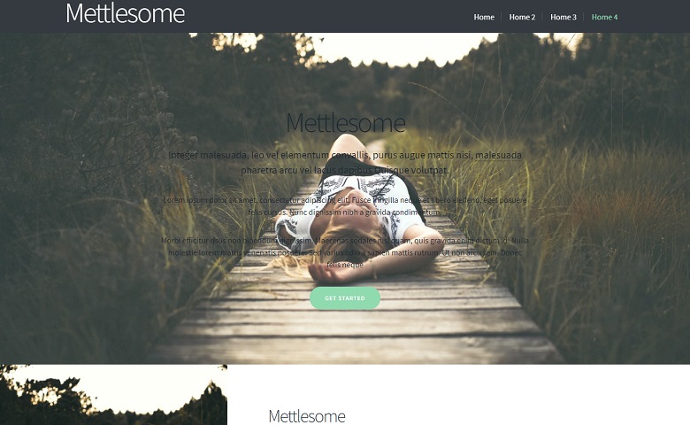 Mettlesome - Responsive One-Page website template