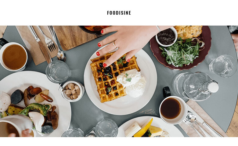 Foodisine - Responsive Newsletter Design Templates