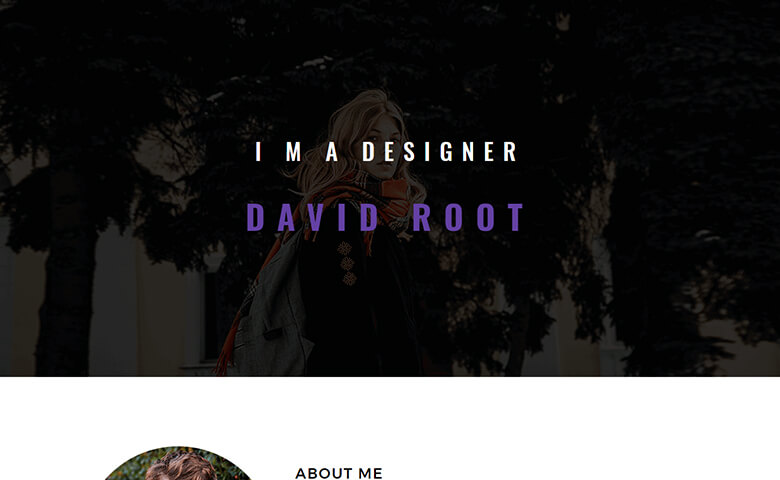 David-Root – Free Web Designer Portfolio Website Template