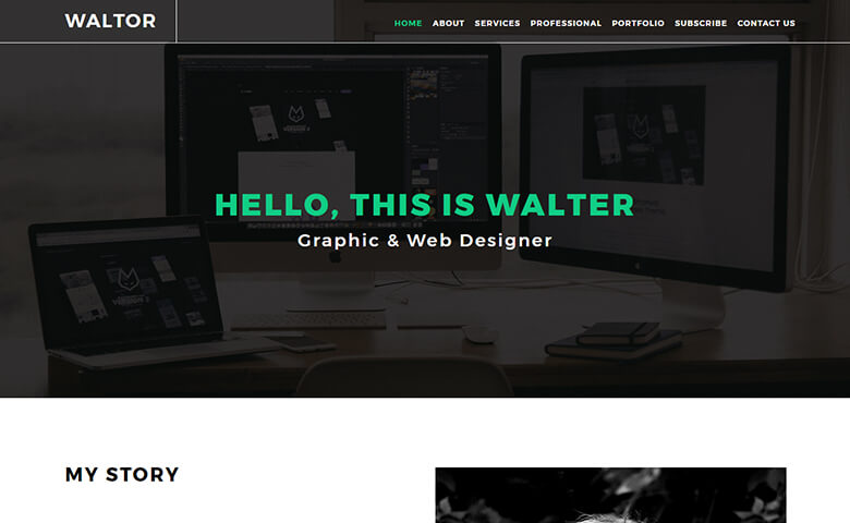 Walter-Hadon – Graphic design responsive portfolio website template