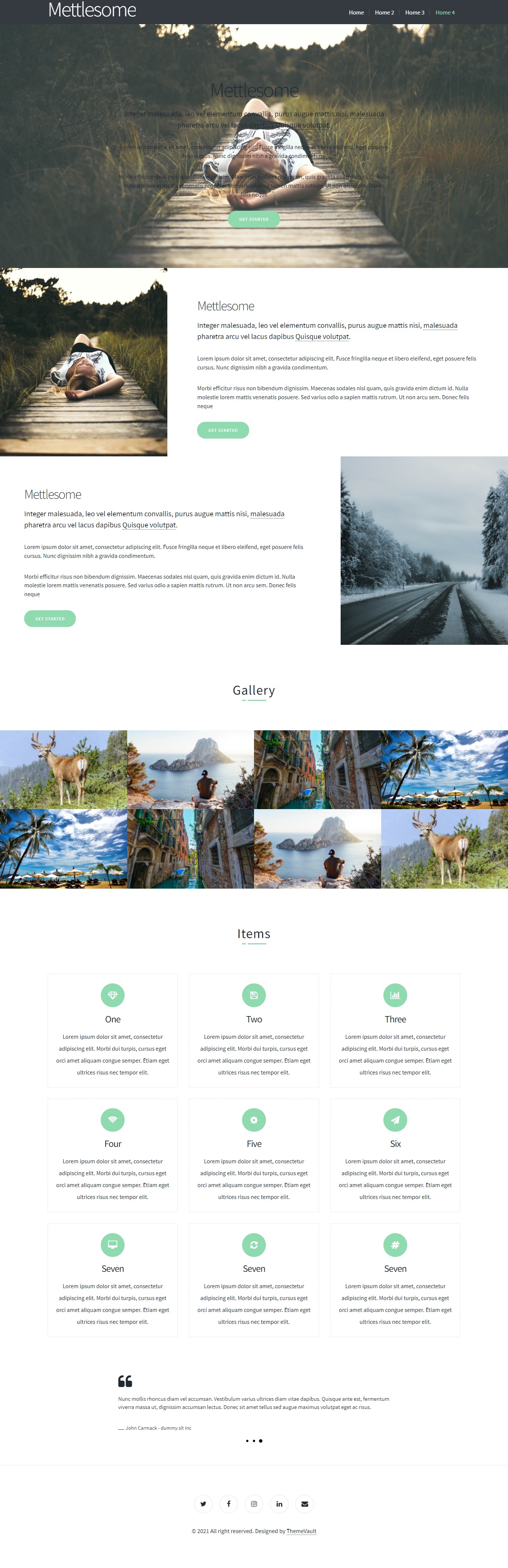 Mettlesome - Responsive One-Page website template