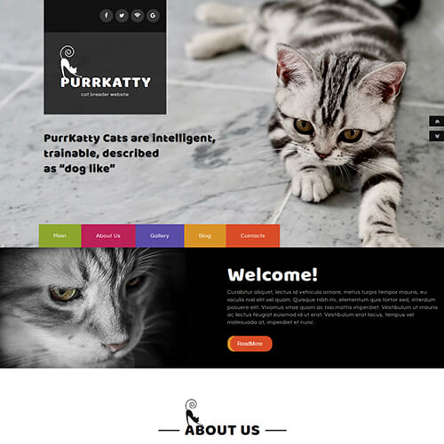 Purrkatty – Free Responsive Pet Website Templates
