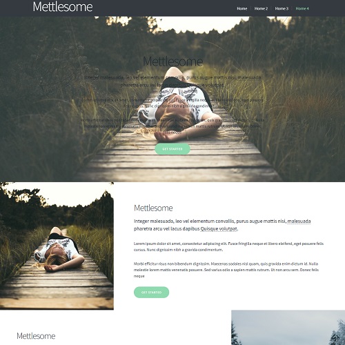 Mettlesome - Responsive One-Page website template