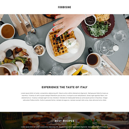 Foodisine - Responsive Newsletter Design Templates