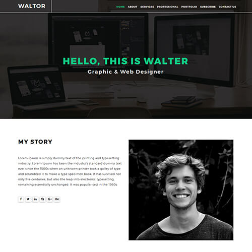 Walter-Hadon – Graphic design responsive portfolio website template